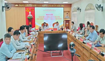 VKSND thành phố Hà Nội dự Hội nghị sơ kết 06 tháng đầu năm Ban chỉ đạo...